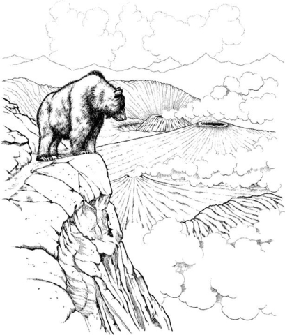 Brown Bear Overlooking Volcanoes In Katmai National Park Coloring Page